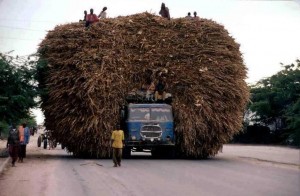 Déforestation et surcharge véhicule