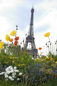 Paris Tour eiffel ecolo